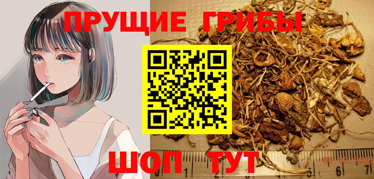 Галлюциногенные грибы прущие грибы Щёлково